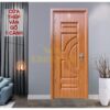 Cửa thép vân gỗ 1 cánh KG-1.01