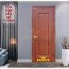 Cửa thép vân gỗ 1 cánh KG-1.31